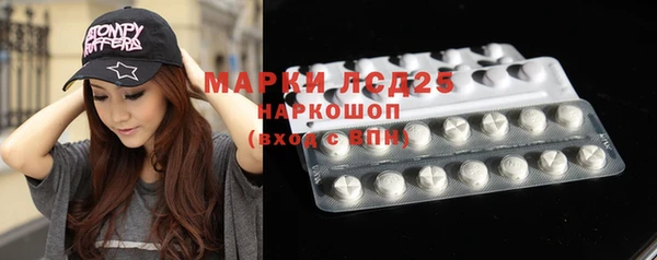 PSILOCYBIN Армянск