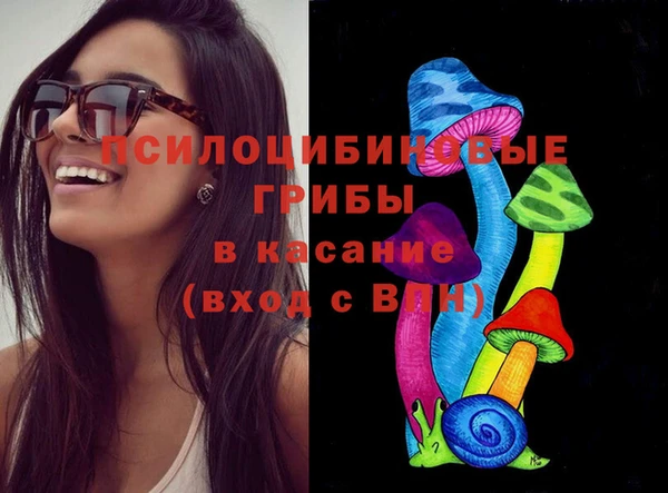 PSILOCYBIN Армянск