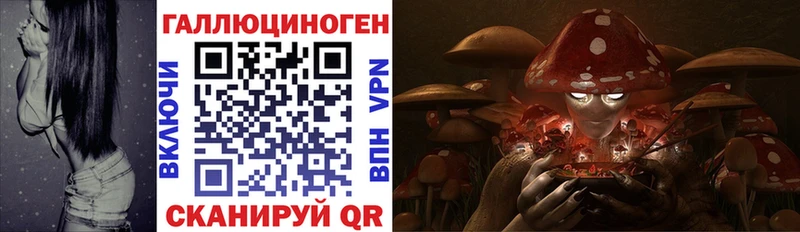 Псилоцибиновые грибы MAGIC MUSHROOMS  купить наркотик  Среднеуральск 